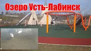 Парк на Озере! Лебеди, прогулка и обзор,Усть-Лабинск,Озеро (копытце) Копытко,это только начало.