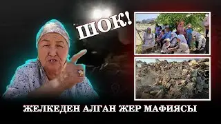 ШОК! ЖЕЛКЕДЕН АЛГАН ЖЕР МАФИЯСЫ #карасуу #мафия #ош #коррупция #атазов #беспредел