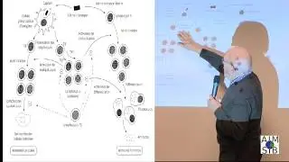 Chapitre 2 Vaccination de masse et HLA, un mariage impossible  - Michel Georget