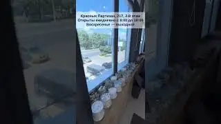 Офис Благострой | Ждем на кофе и за тротуарной плиткой 😁 | Краснодар
