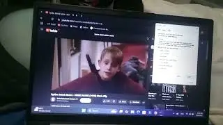 Home Alone Spider Scream Has BSOD