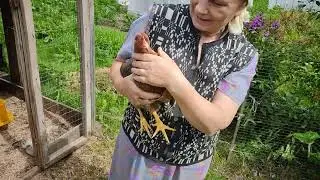 Билефельдерам три месяца.