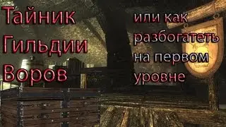 SKYR M - ТАЙНИК ГИЛЬДИИ ВОРОВ ИЛИ КАК РАЗБОГАТЕТЬ НА 1 УРОВНЕ