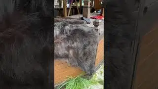 БАРАХОЛКА ИЗМАЙЛОВО. ЧТО ТОЛЬКО НЕ НАЙДЕШЬ