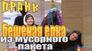 ПРАНК самая ДЕШЕВАЯ ЕЛКА из мусорного пакета и мишуры vssmax