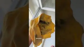 Как вам?