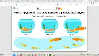 Развитие и размножение рыб, земноводных и пресмыкающихся/ Окружающий мир 3 класс. Алиса Ридель