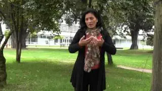 Opinión modelo pedagógico. Profesora Doris Santos