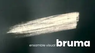 Bruma. Ensamble Visual - Video de Alejandra Gutiérrez con música de Oso Marti