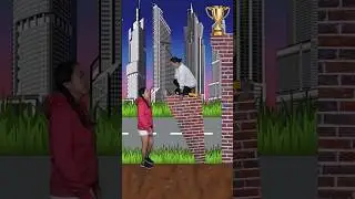 What is the video all about? 