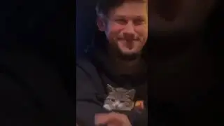 два котика хехеххе 😋💖 #антоншастун