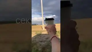 А у вас так же? По осени? #помощьбездомнымживотным #непокупайприюти #помощь