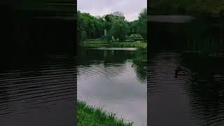 10 мая 2024 г.