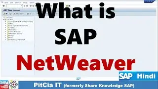 What is SAP NetWeaver 