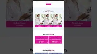 Veterinary & Pet Care Website Design for $300 