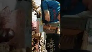 Заготавливаем грибочки на зиму
