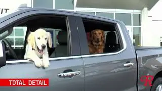 Total Detail at Rydell Detail Center - Whose a good boy