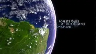 International Day of Forests 2013