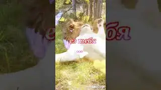 С тобой хочется..