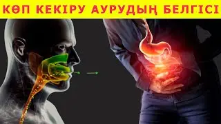 Көп кекіре беру қандай аурудың белгісі, Кекіруден қалай құтылуға болады, Керек арнасы