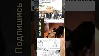 Мемы 