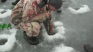 Багрильщики