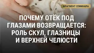 Твердая мозговая оболочка и затылочная кость: почему эта связь влияет на молодость лица