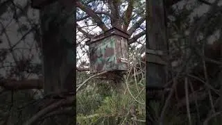 Поставили ловушку около пасеки