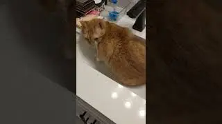 That boy ain't right...