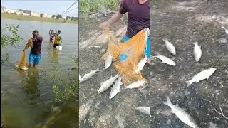 catch fishing videos fishing net fishing with my friends
