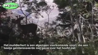 Great Parks: Grand Canyon deel 2