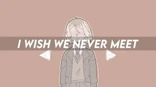 ♡I WISH WE NEVER MET♡ (meme)