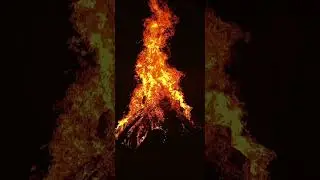 Happy Holi | Holika Dahan Status Video😱🔥❤