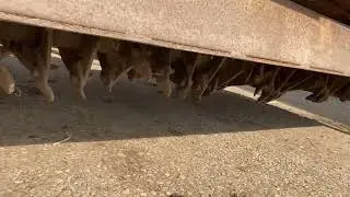 Pegoraro Pegolama 8' Rotavator