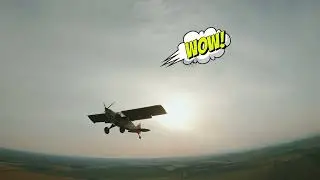 bushflycamp
