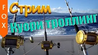 Куори, троллинг, стрим. Русская Рыбалка 4.