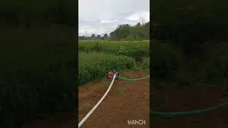 #полив #помпа #сплинклер