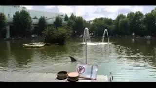 Shark Lake Final الشكل النهائي لورشة القرش
