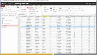 26 Access 2013 Filtering table data