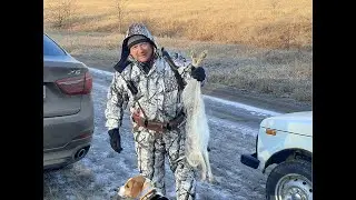 Охота на зайца 20-21, 12.12.20  5 подъемов 2х взяли!