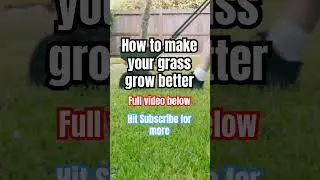 How to get greener grass. #lawntips #lawncare #lawn