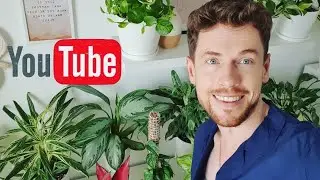 Plant tour  in one of my rooms. Aroids and more.