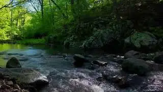 Шум ручья для сна 1 часов  Пение птиц