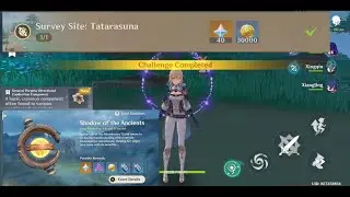 Survey Site: Tatarasuna Shadow of the Ancients Genshin Impact
