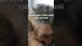 #соулкнайт  НЕ ВЕРЬТЕ ЭТОМУ ПРИДУРКУ!!!!