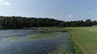 Droning over Lily Pads at Binder Lake