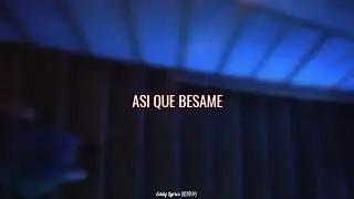 Never Get Used To People - Life Leters // ⚠️ Flash Warning ⚠️ // Una Leyenda de TikTok