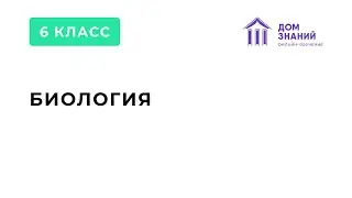 6 Класс. Биология. Макашарипова М.Р. Тема: 