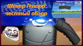 ⚡️ Оригинальный Электрошокер Гепард - самый честный обзор / cheetah stungun