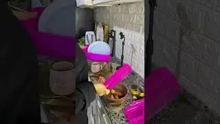 يوم في حياتي ام لطفلين من سته الصبح لحد النوم🤍🌻